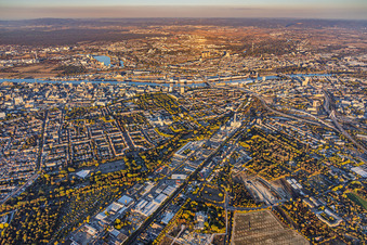 Stadtübersicht aus Westen von der Industriestraße bis zur BASF am Rhein im Ortsteil Friesenheim in Ludwigshafen im Bundesland Rheinland-Pfalz, Deutschland