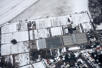 Gartenbauaumt im Ortsteil Rüppurr in Karlsruhe im Bundesland Baden-Württemberg, Deutschland