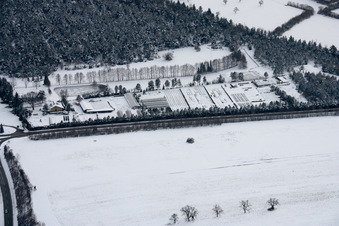 Pflanzenoase Ralf Jansen im Ortsteil Spielberg in Karlsbad im Bundesland Baden-Württemberg, Deutschland