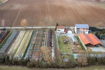 Vollmersweiler im Bundesland Rheinland-Pfalz, Deutschland von einer Drohne aus