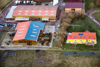 Freckenfeld, Islandpferdegestüt Bienwald im Bundesland Rheinland-Pfalz, Deutschland