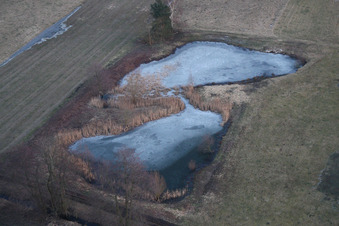 Winterlich schneebedeckte Tümpel und Morast- Wasseroberfläche in einer Teichlandschaft in Minfeld im Bundesland Rheinland-Pfalz, Deutschland