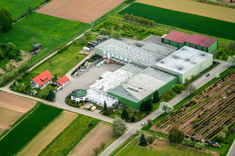 Zw. Kapellen Drusweiler u. Oberhausen in Kapellen-Drusweiler im Bundesland Rheinland-Pfalz, Deutschland