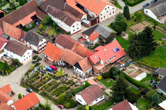 Helmut Scholl Landschaftsgärtner in Oberhausen im Bundesland Rheinland-Pfalz, Deutschland