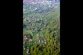 Blühende Kernobstanbau- Plantage im Ortsteil Oberweier in Ettlingen im Ortsteil Ettlingenweier im Bundesland Baden-Württemberg, Deutschland
