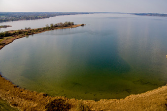 Uferbereiche am Seegebiet des Ammersee in Dießen am Ammersee im Bundesland Bayern, Deutschland
