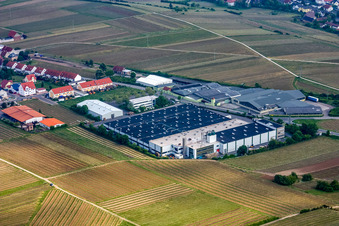Luftbild von Gebäude und Produktionshallen auf dem Werksgelände Wellpappenfabrik GmbH im Ortsteil Sausenheim in Grünstadt im Bundesland Rheinland-Pfalz, Deutschland