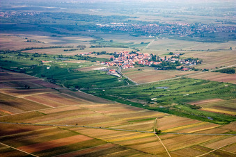 Golfgarten Deutsche Weinstraße - Dackenheim - GOLF absolute im Bundesland Rheinland-Pfalz, Deutschland