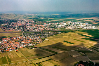 Sausenheim von Süden in Grünstadt im Bundesland Rheinland-Pfalz, Deutschland