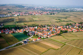 Dorf - Ansicht am Rande von landwirtschaftlichen Feldern und Nutzflächen in Kleinkarlbach im Bundesland Rheinland-Pfalz, Deutschland
