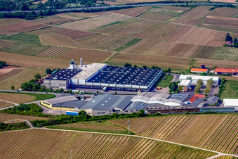 Luftaufnahme von Gebäude und Produktionshallen auf dem Werksgelände Wellpappenfabrik GmbH im Ortsteil Sausenheim in Grünstadt im Bundesland Rheinland-Pfalz, Deutschland