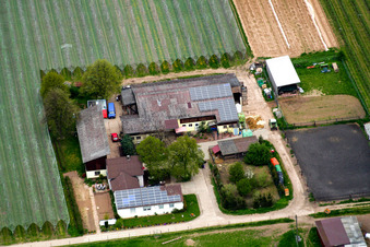 Luftaufnahme von Lindenhof in Steinweiler im Bundesland Rheinland-Pfalz, Deutschland