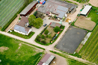 Schrägluftbild von Lindenhof in Steinweiler im Bundesland Rheinland-Pfalz, Deutschland
