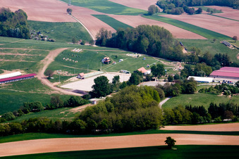 Haras al Née in Neewiller-près-Lauterbourg im Bundesland Bas-Rhin, Frankreich