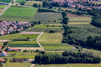 Erlenbach und Feldlachgraben in Hatzenbühl im Bundesland Rheinland-Pfalz, Deutschland