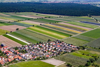 Musikerviertel in Hatzenbühl im Bundesland Rheinland-Pfalz, Deutschland