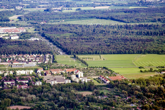Friedhof Heidenstücker im Ortsteil Grünwinkel in Karlsruhe im Bundesland Baden-Württemberg, Deutschland
