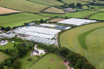 Marldon im Bundesland England, Großbritanien