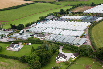 Luftaufnahme von Marldon im Bundesland England, Großbritanien