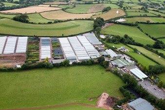 Schrägluftbild von Marldon im Bundesland England, Großbritanien