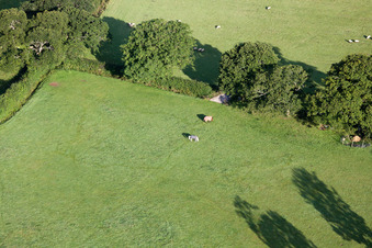 Abbotskerswell im Bundesland England, Großbritanien von der Drohne aus gesehen