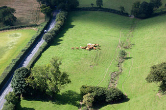 Drohnenaufname von Ipplepen im Bundesland England, Großbritanien