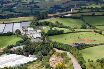 Marldon im Bundesland England, Großbritanien vom Flugzeug aus