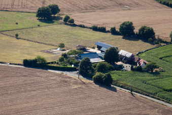 Coudrecieux, La Petite Franchaise (Apiculteur) im Bundesland Sarthe, Frankreich