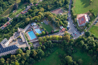 Luftaufnahme von Altleiningen im Bundesland Rheinland-Pfalz, Deutschland