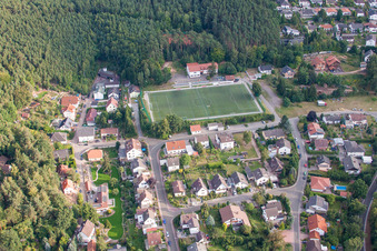 Grüner Kunstrasen Fussballplatz im Ortsteil Höningen in Altleiningen im Bundesland Rheinland-Pfalz, Deutschland
