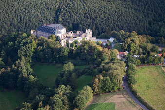 Altleiningen im Bundesland Rheinland-Pfalz, Deutschland aus der Drohnenperspektive