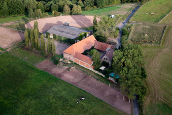 Altleiningen im Bundesland Rheinland-Pfalz, Deutschland von der Drohne aus gesehen