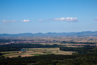 Strukturen auf landwirtschaftlichen Feldern in Rülzheim in Linkenheim-Hochstetten im Bundesland Baden-Württemberg, Deutschland
