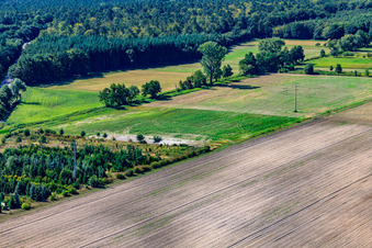 Wiesen am Erlenbach in Hatzenbühl im Bundesland Rheinland-Pfalz, Deutschland