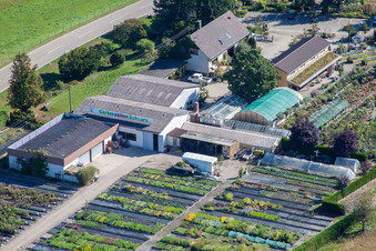 Luftbild von Gartenzeiten Schwarz im Ortsteil Bodersweier in Kehl im Bundesland Baden-Württemberg, Deutschland