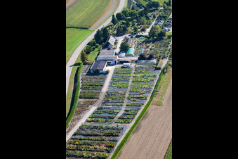 Glasdach- Flächen in den Gewächshausreihen zur Blumenzucht von Gartenzeiten Schwarz im Ortsteil Bodersweier in Kehl im Bundesland Baden-Württemberg, Deutschland