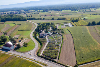 Luftaufnahme von Gartenzeiten Schwarz im Ortsteil Bodersweier in Kehl im Bundesland Baden-Württemberg, Deutschland