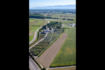 Schrägluftbild von Gartenzeiten Schwarz im Ortsteil Bodersweier in Kehl im Bundesland Baden-Württemberg, Deutschland