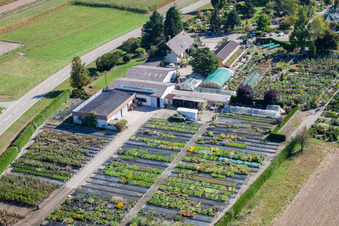 Gartenzeiten Schwarz im Ortsteil Bodersweier in Kehl im Bundesland Baden-Württemberg, Deutschland aus der Luft