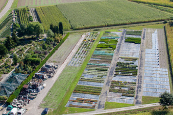 Gartenzeiten Schwarz im Ortsteil Bodersweier in Kehl im Bundesland Baden-Württemberg, Deutschland von oben gesehen