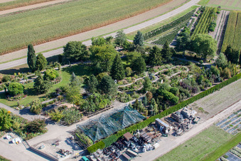 Gartenzeiten Schwarz im Ortsteil Bodersweier in Kehl im Bundesland Baden-Württemberg, Deutschland vom Flugzeug aus