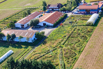 Schossberghof von Norden in Minfeld im Bundesland Rheinland-Pfalz, Deutschland