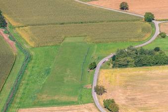 Luftbild von Modellflugplatz des MFC Bad Bergzabern in Oberotterbach im Bundesland Rheinland-Pfalz, Deutschland