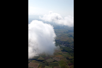 Riedseltz im Bundesland Bas-Rhin, Frankreich von einer Drohne aus