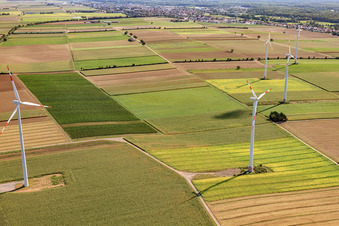 Luftaufnahme von Windkraftanlagen des Windpark Minfeld im Bundesland Rheinland-Pfalz, Deutschland