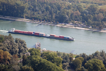 Schiff der Binnenschiffahrt in Fahrt auf der Wasserstraße des Flußverlaufes des Rhein in Eggenstein-Leopoldshafen im Bundesland Baden-Württemberg, Deutschland
