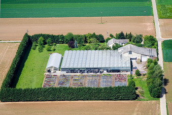 Luftbild von Blättnerhof in Steinweiler im Bundesland Rheinland-Pfalz, Deutschland