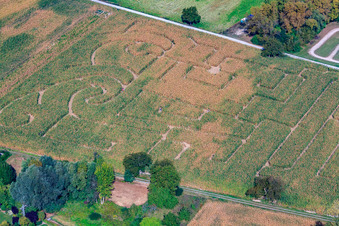 Luftbild von Seehof (Maislabyrinth) in Leimersheim im Bundesland Rheinland-Pfalz, Deutschland