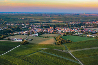 Luftbild von Ingenheim von Süden in Billigheim-Ingenheim im Bundesland Rheinland-Pfalz, Deutschland