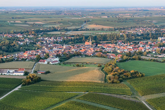Luftaufnahme von Ingenheim von Süden in Billigheim-Ingenheim im Bundesland Rheinland-Pfalz, Deutschland